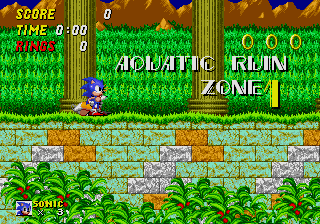 Sonic020.pcx (57986 bytes)